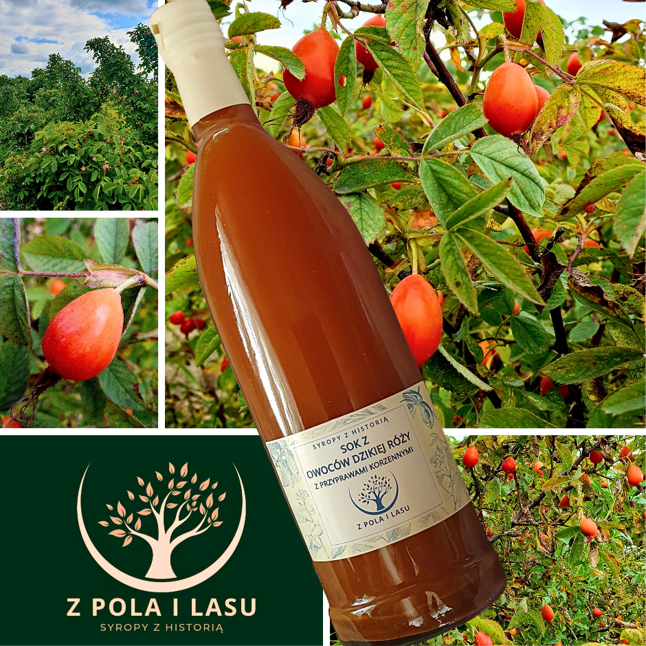 Sok z dzikiej róży z przyprawami korzennymi 0,5 l