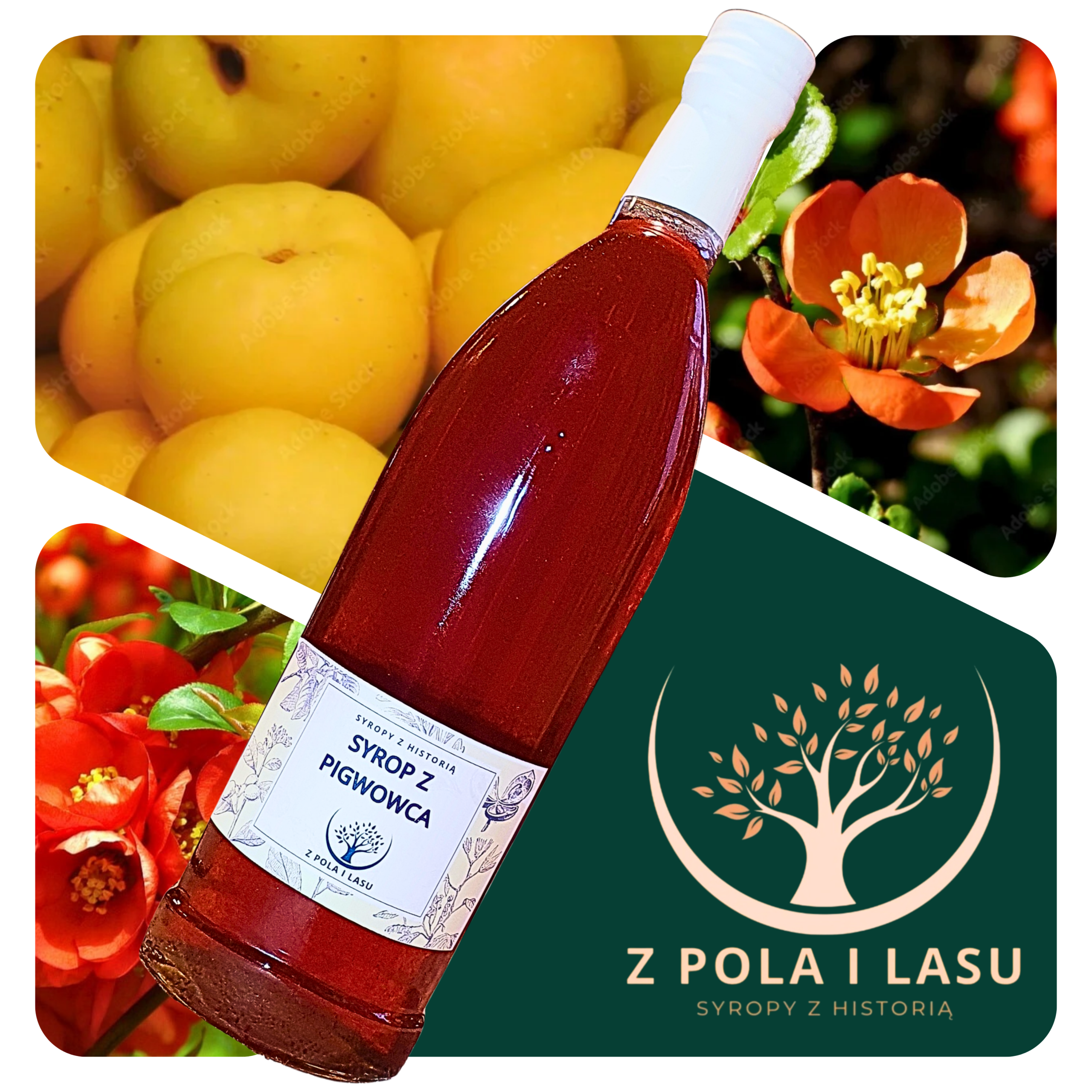 Syrop z pigwowca 0,5l