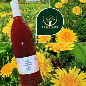 Syrop z mniszka lekarskiego 0,5l