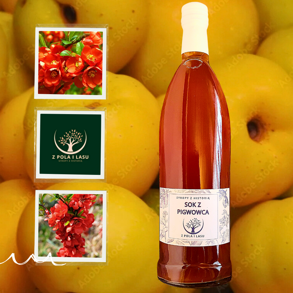 Sok z pigwowca 0,5l