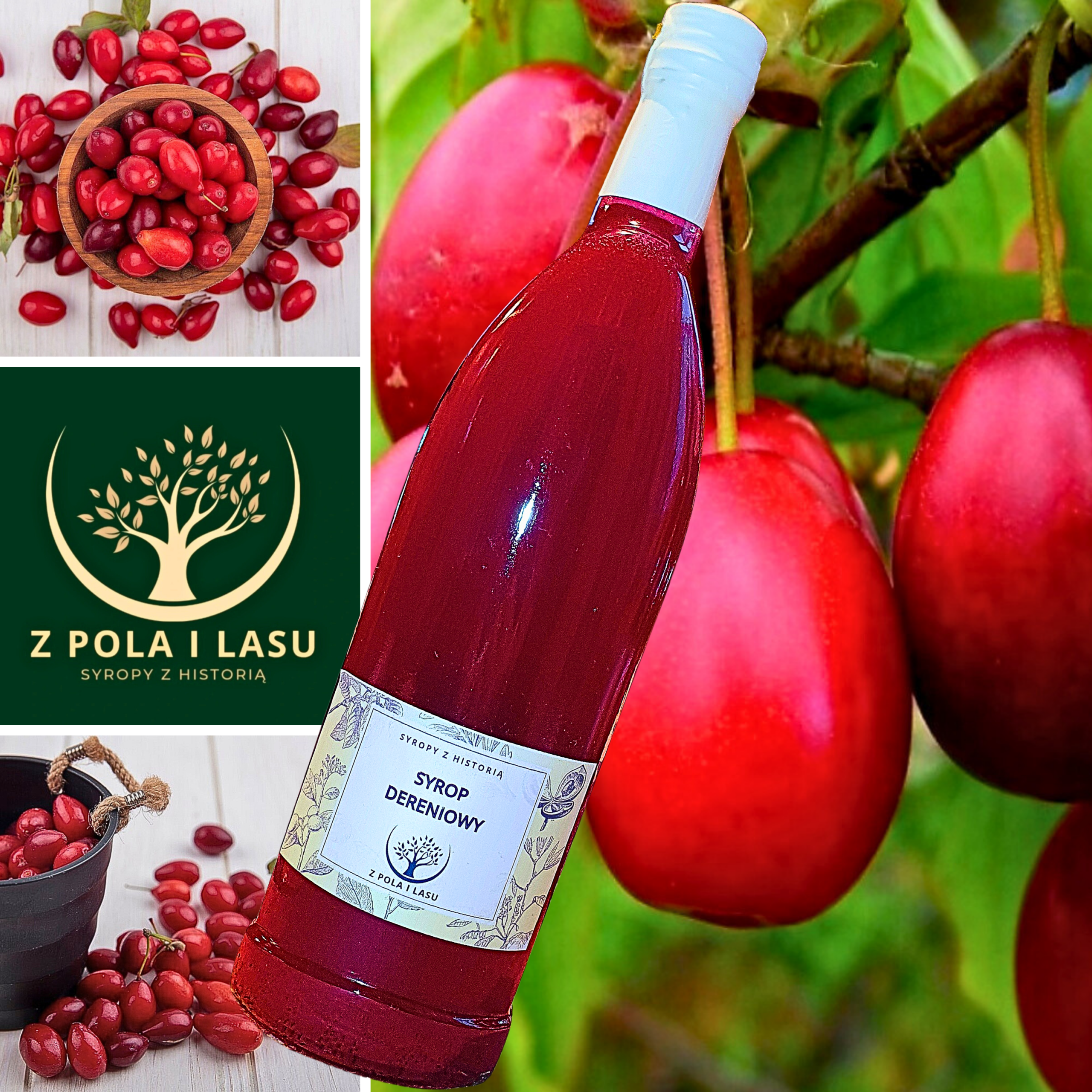 Syrop dereniowy 0,5l