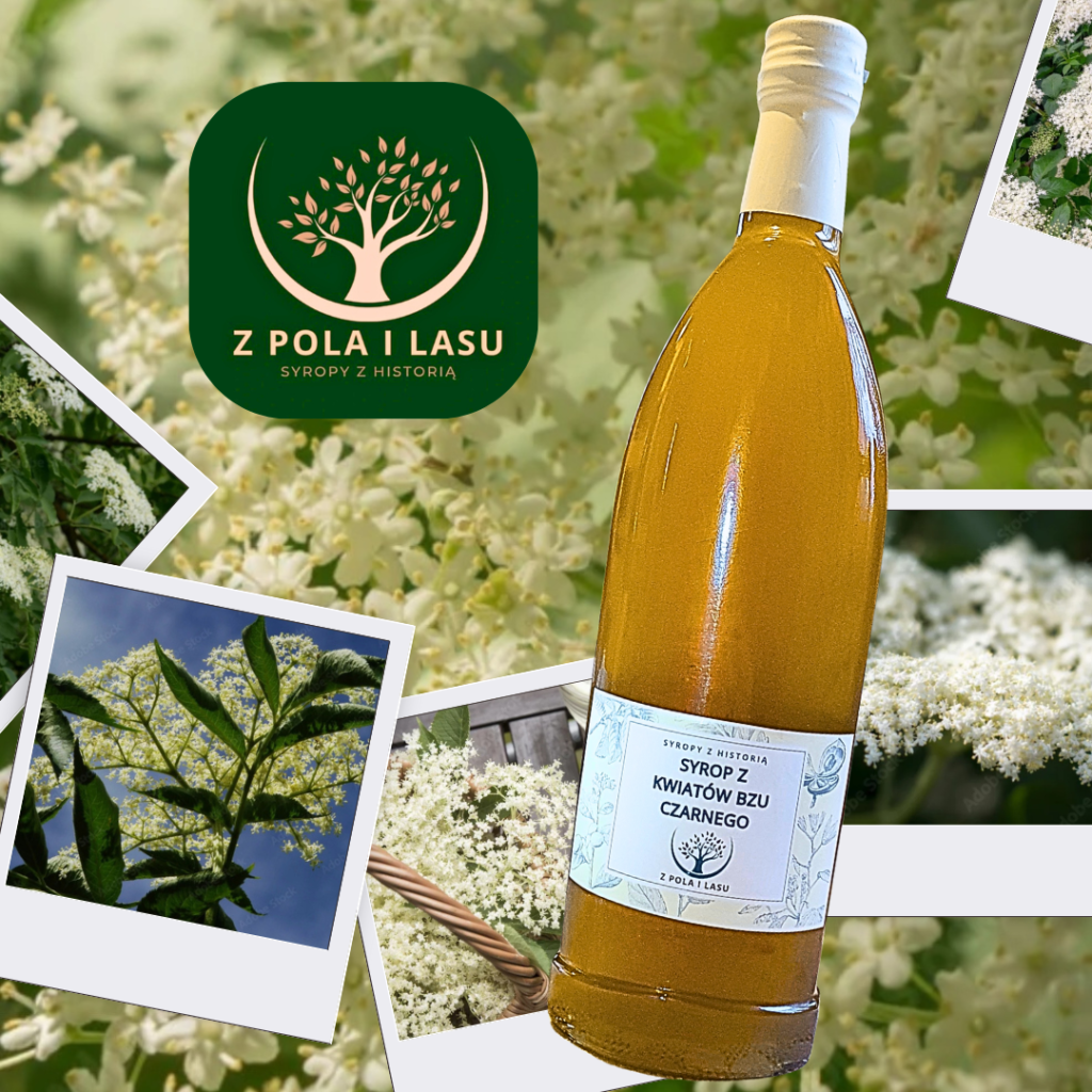 syrop z kwiatów bzu czarnego Z POLA I LASU. Syropy naturalne z historią.