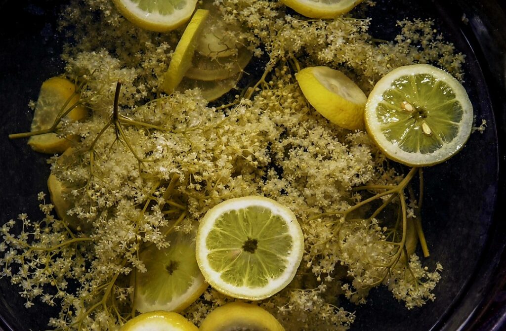 kwiaty bzu czarnego najlepiej smakują z dodatkiem kwaśnych owoców