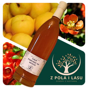 Syrop pigwowiec na miodzie Z Pola i Lasu syropy naturalne z historią